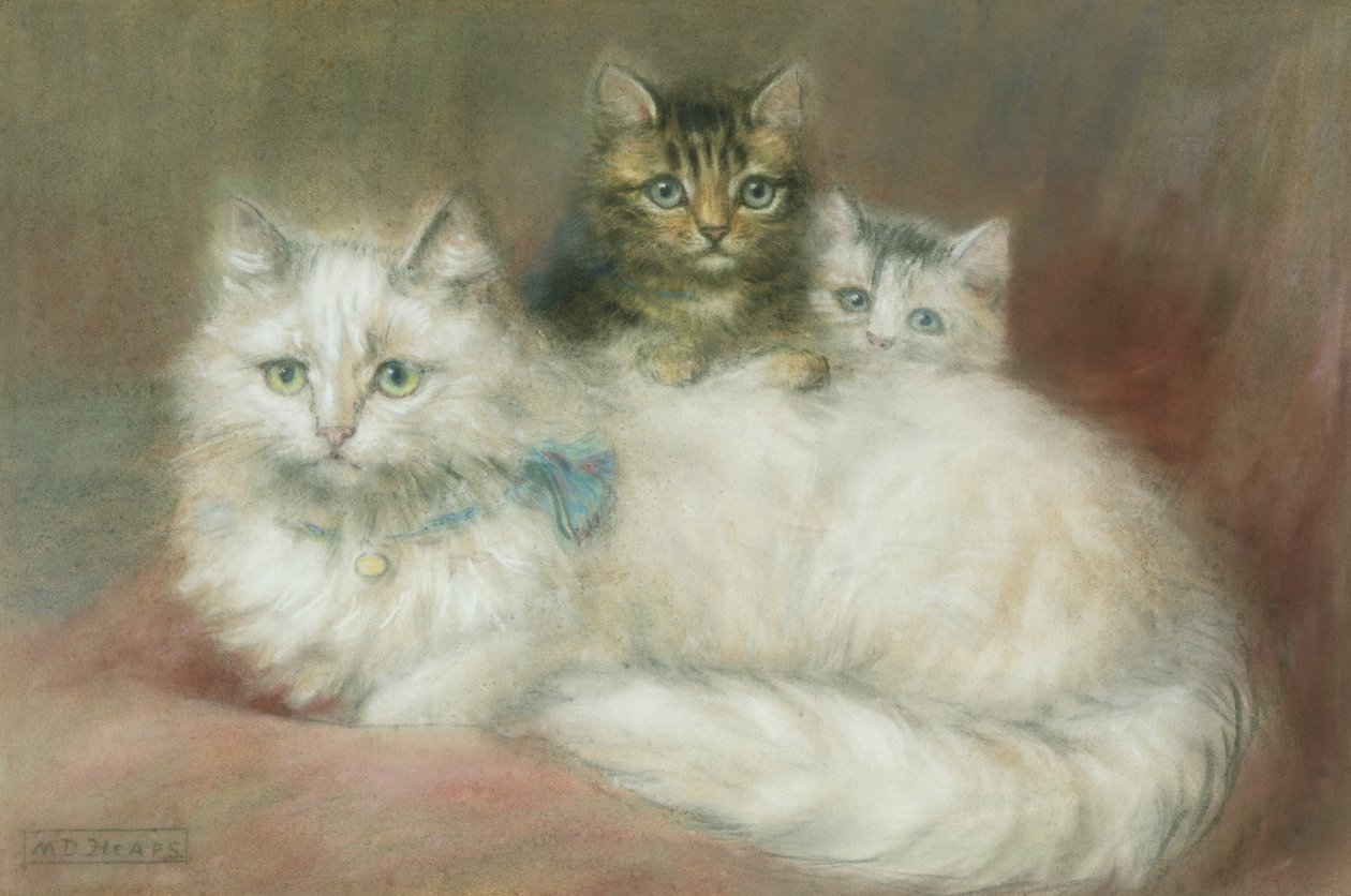 En perserkatt och hennes kattungar av Maud D. Heaps
