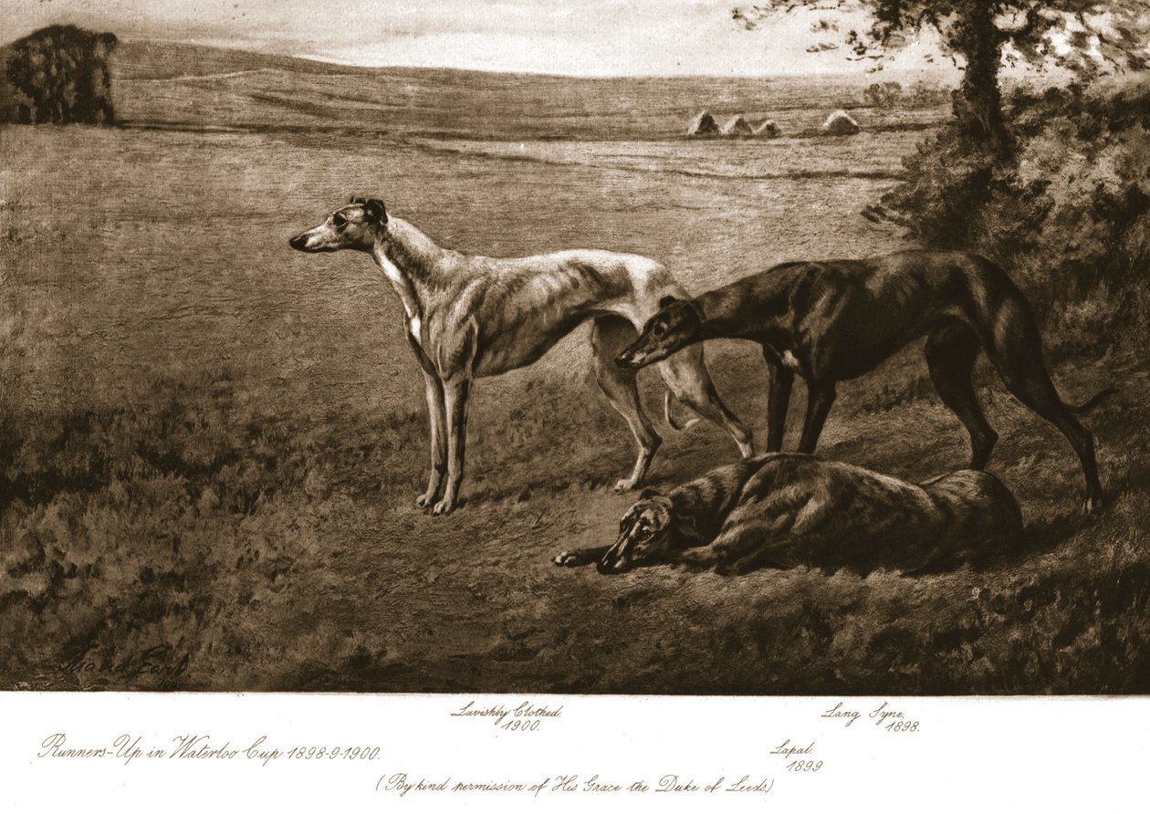 Hertigen av Leeds hundar, 1911. av Maud Earl