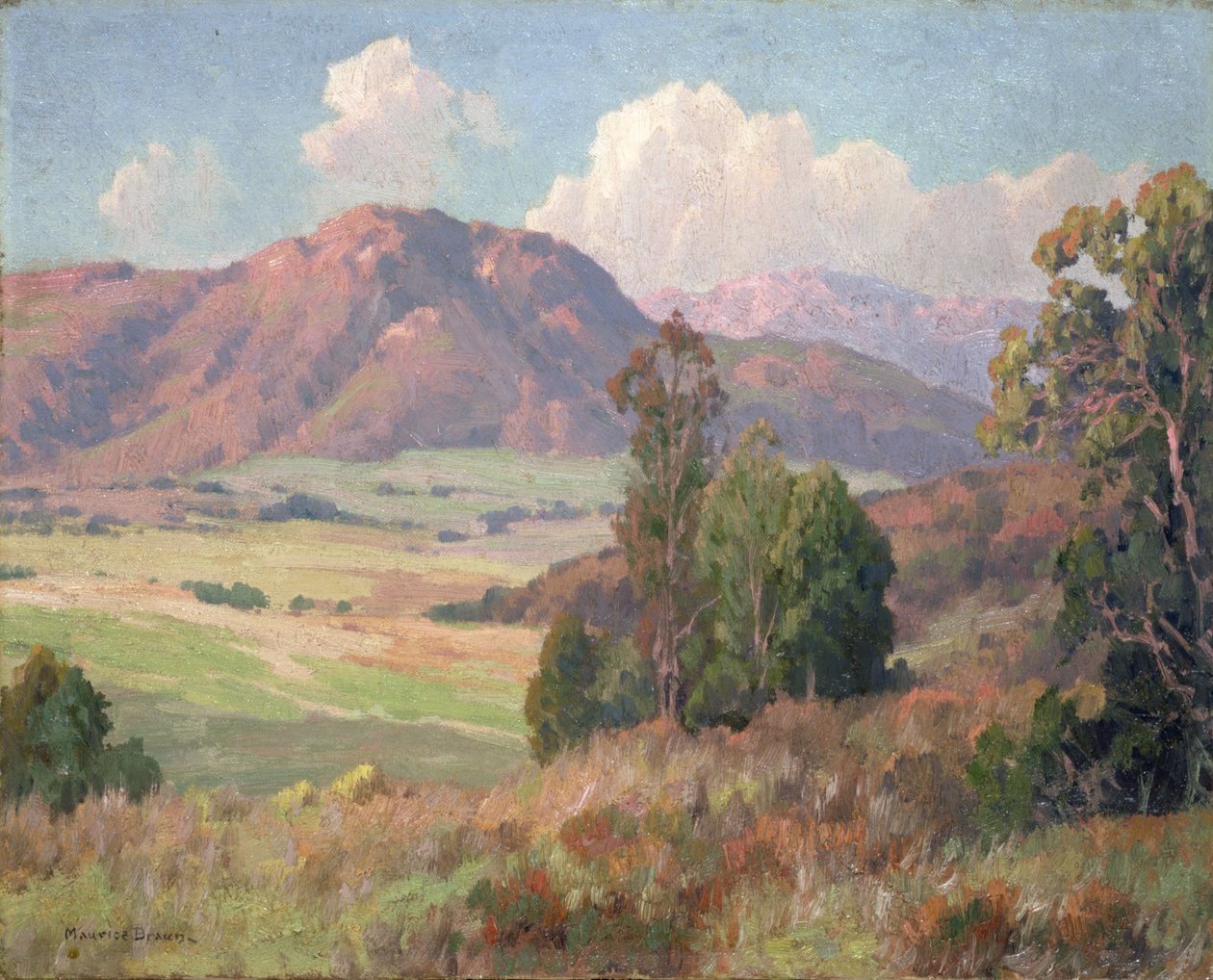 San Diego Hills (olja på duk) av Maurice Braun