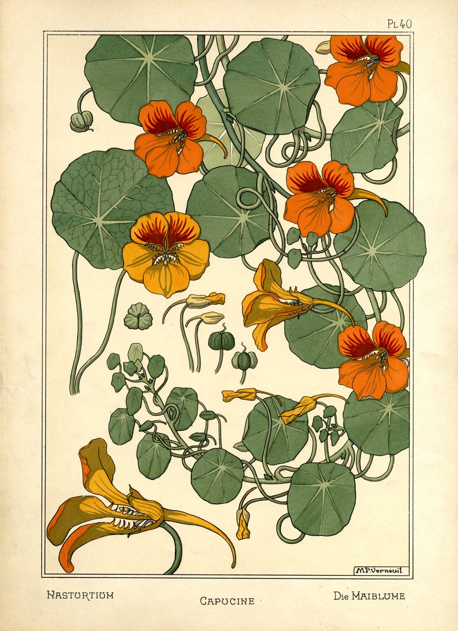 Nasturtium (färg litho) av Maurice Pillard Verneuil