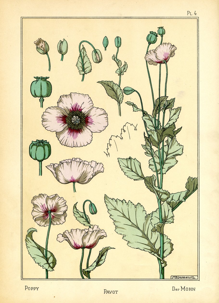 Vallmo (färg litho) av Maurice Pillard Verneuil
