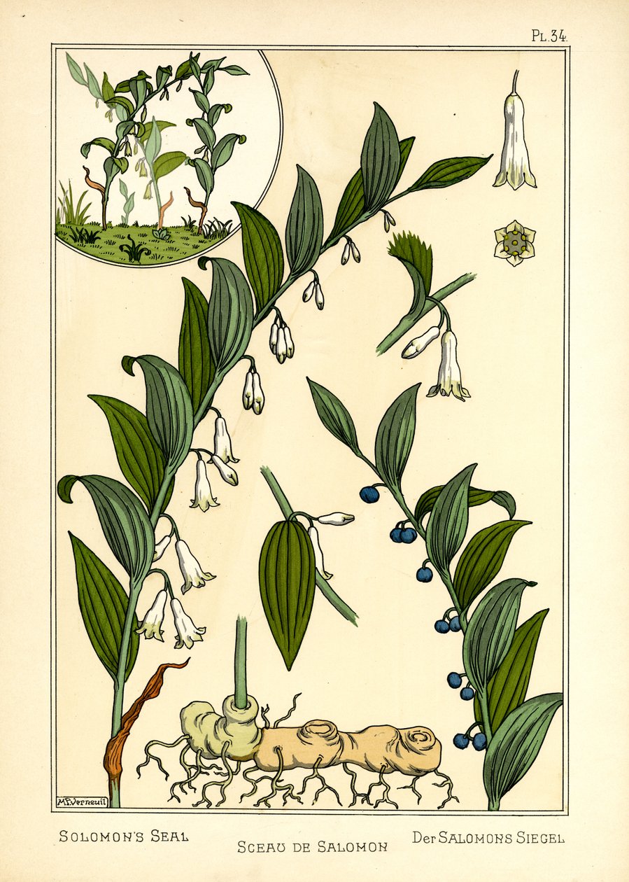 Salomons sigill (färg litho) av Maurice Pillard Verneuil