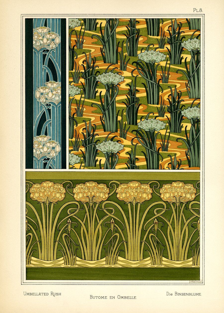 The Umbellated Rush (färg litho) av Maurice Pillard Verneuil