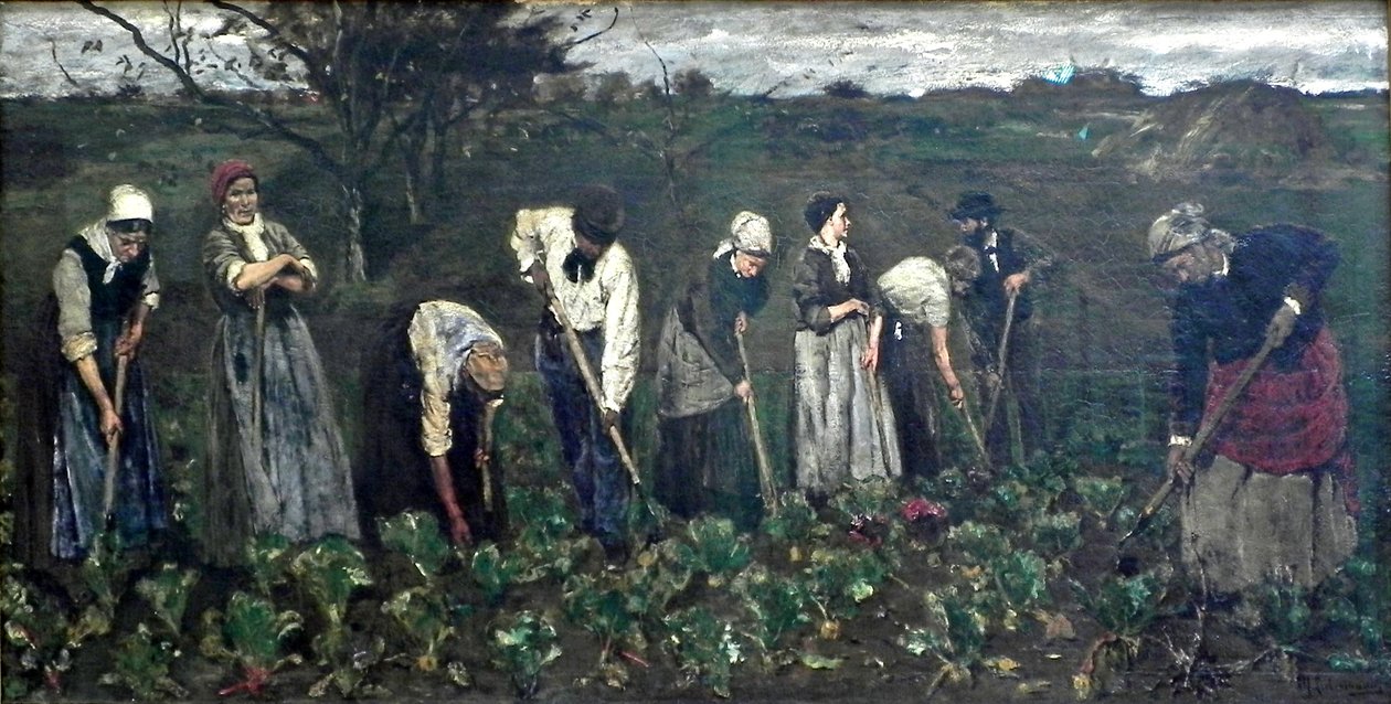 Arbeiter im Rübenfeld av Max Liebermann