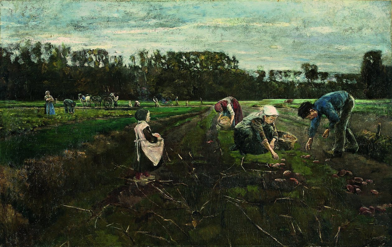Potato Harvest av Max Liebermann