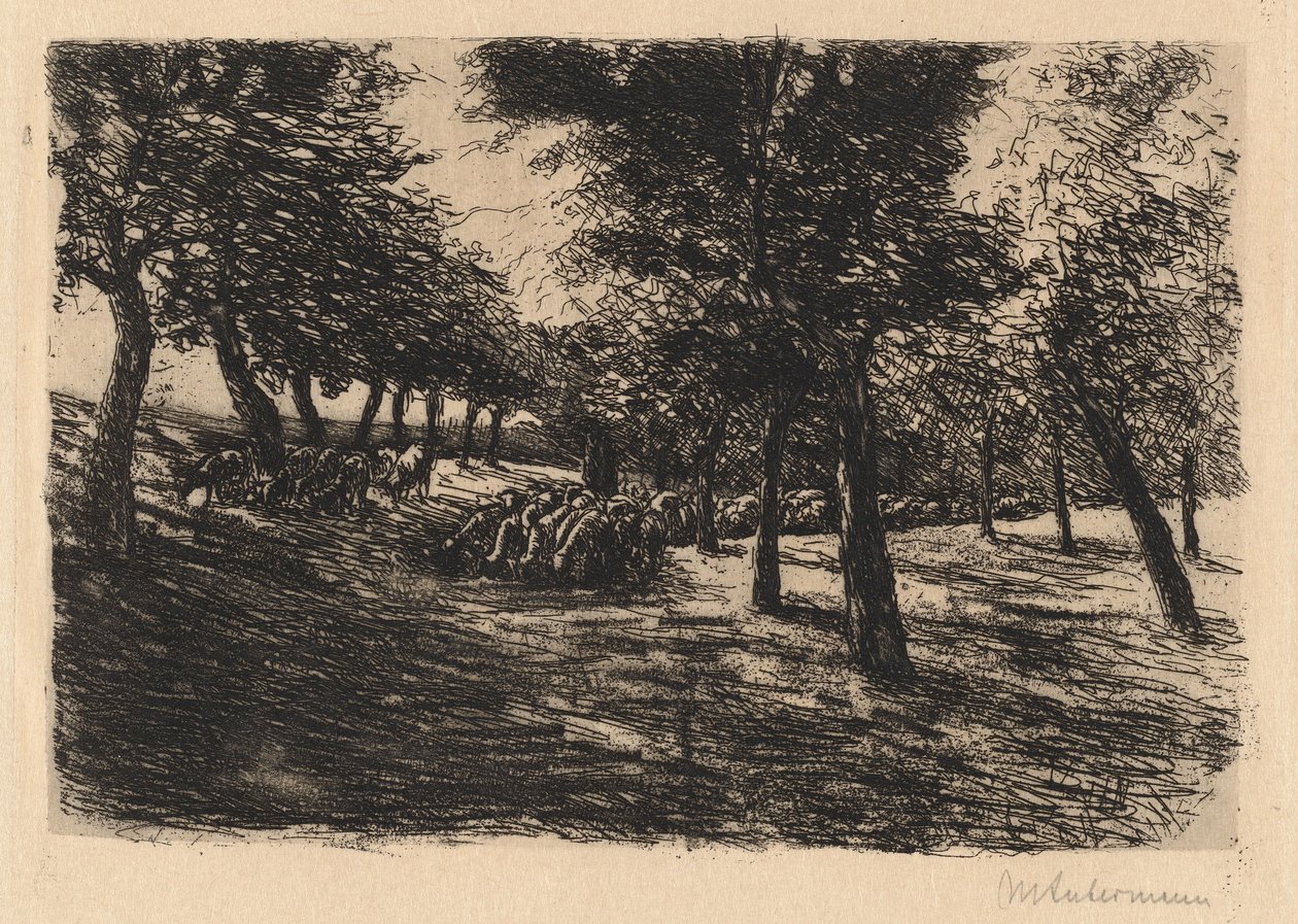 Flock av får under träd, 1891. av Max Liebermann