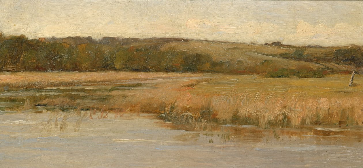 Hill and Marshland, sent 1800-tidigt 1900-tal. av Max Weyl