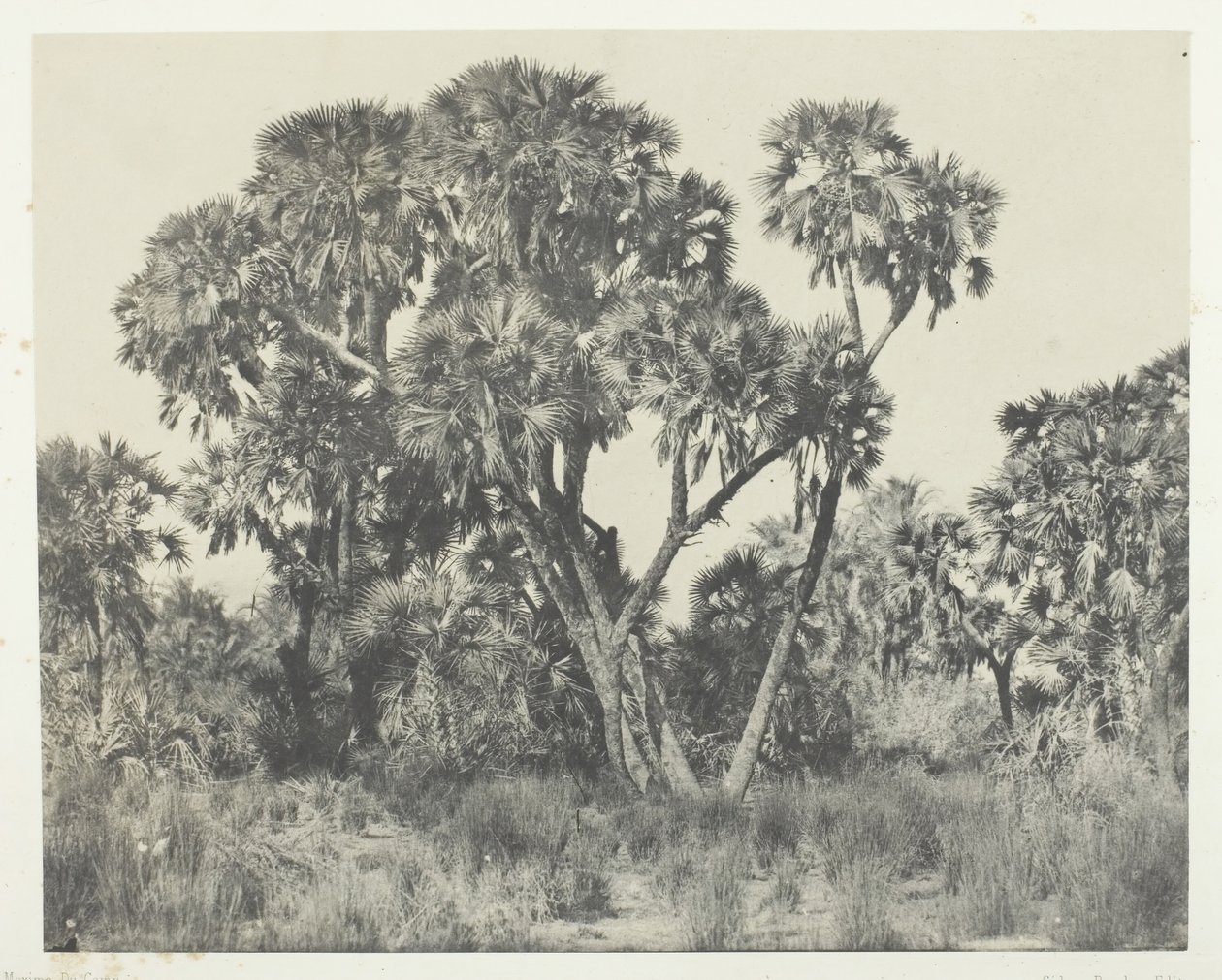 Palmer Doums, Upper Egypt, 184951, tryckt 1852. av Maxime Du Camp
