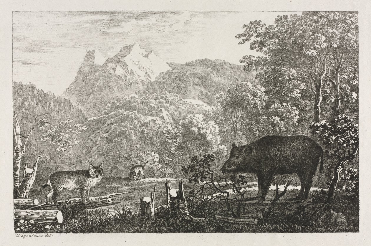 Vildsvin, vildkatt och lodjur av Maximilian Josef Wagenbauer