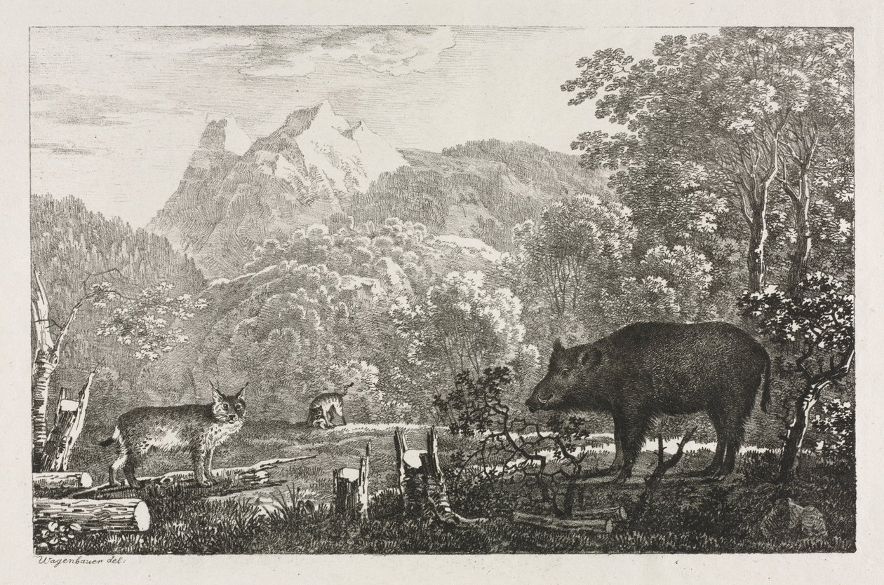 Vildsvin, vildkatt och lodjur, 1807. av Maximilian Josef Wagenbauer
