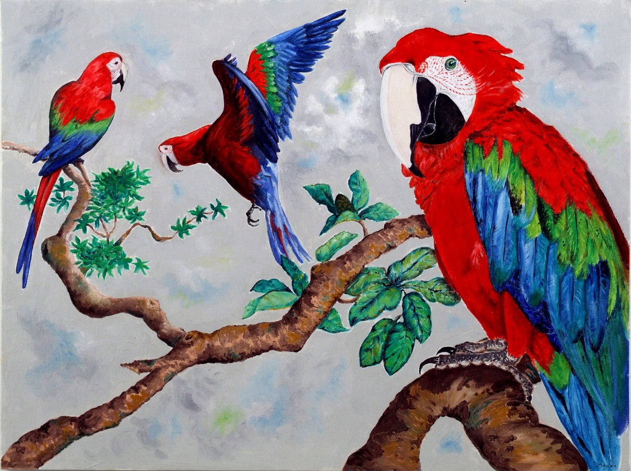 Macaws, 2006 av Maylee Christie