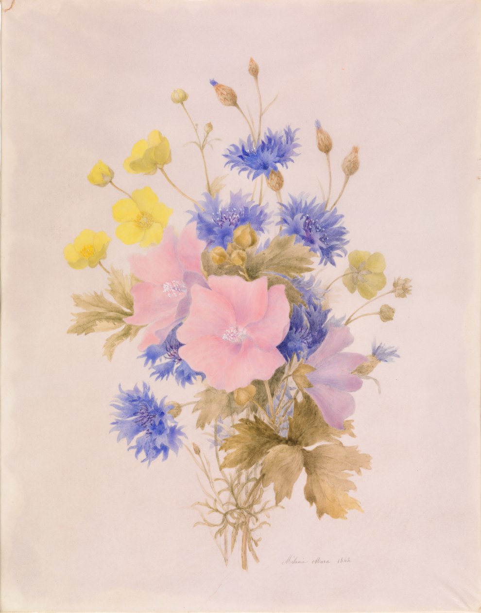 Fält blommor av Melanie Marc