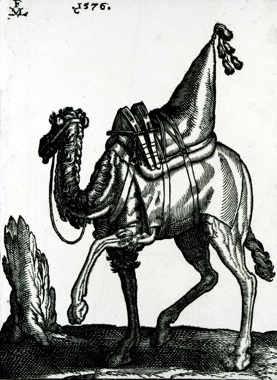 Ngamia (mbao)swed av Melchior Lorck