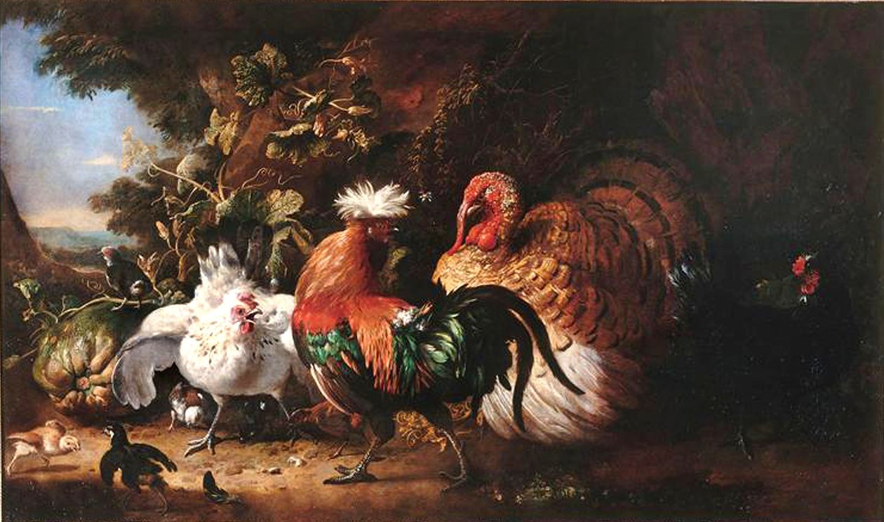 Franska: Oiseaux de basse-cour av Melchior d