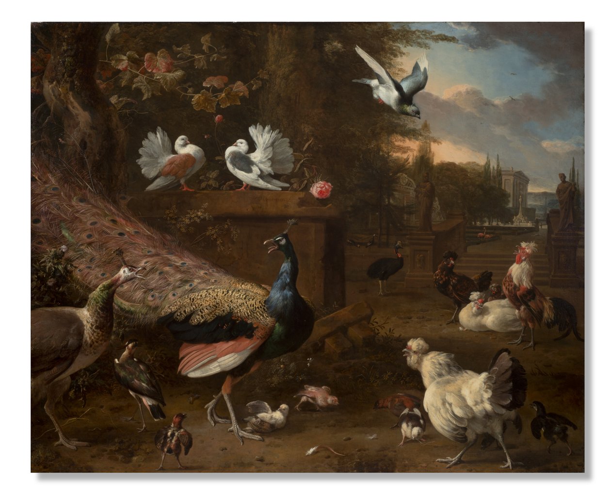 Menageri, c.1680 av Melchior de Hondecoeter