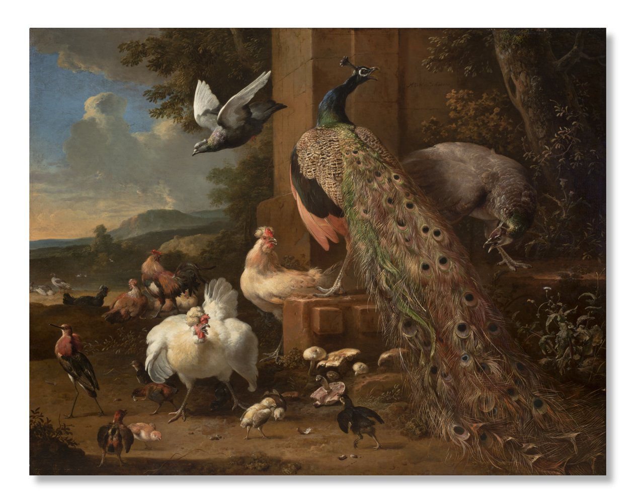 Menageri, c.1680 av Melchior de Hondecoeter