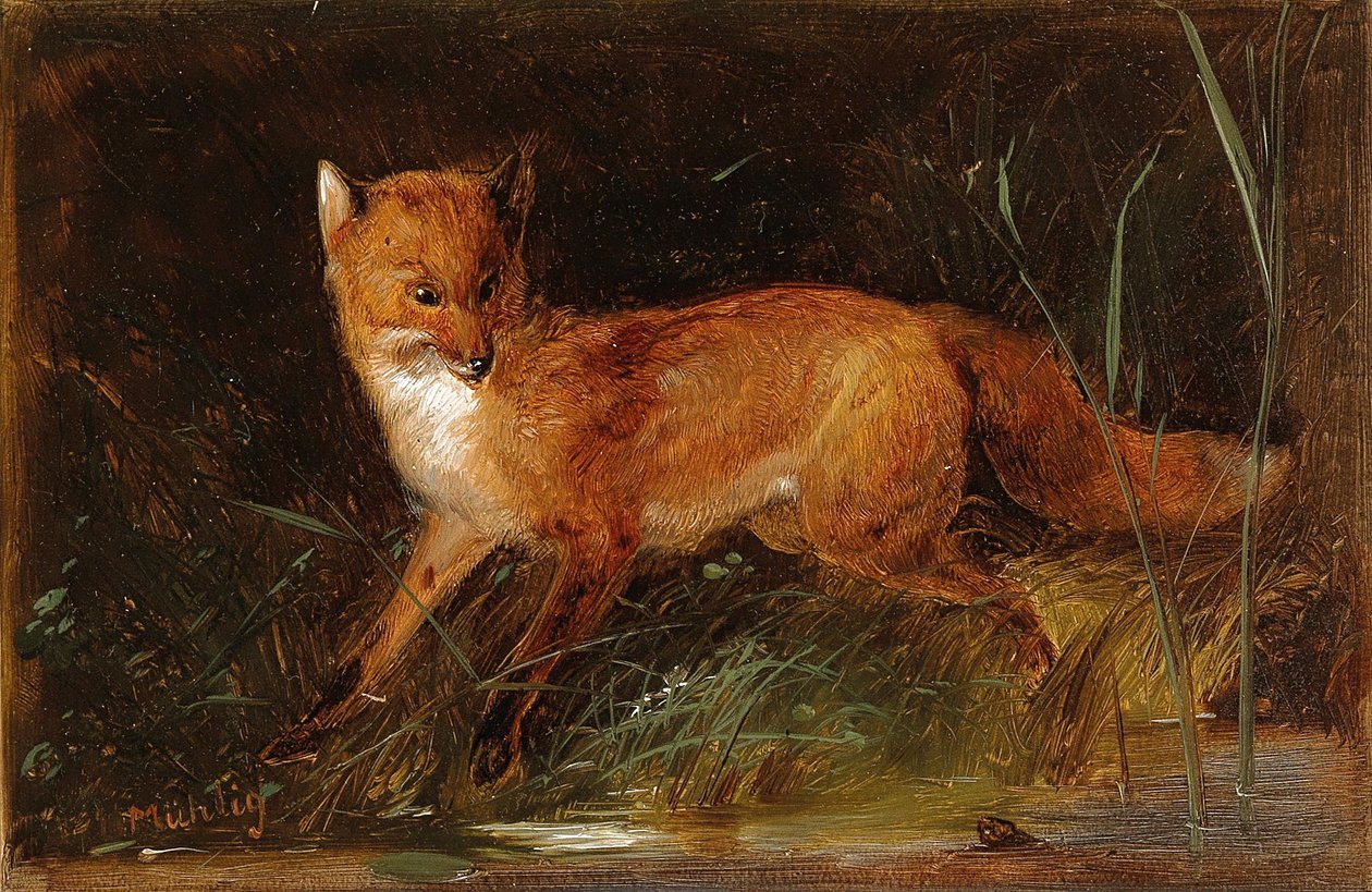 Meno Mühlig Fuchs av Meno Muhlig