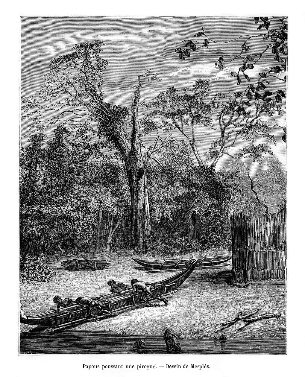Fiskegrav, Papua, 1800-talet av Mesples