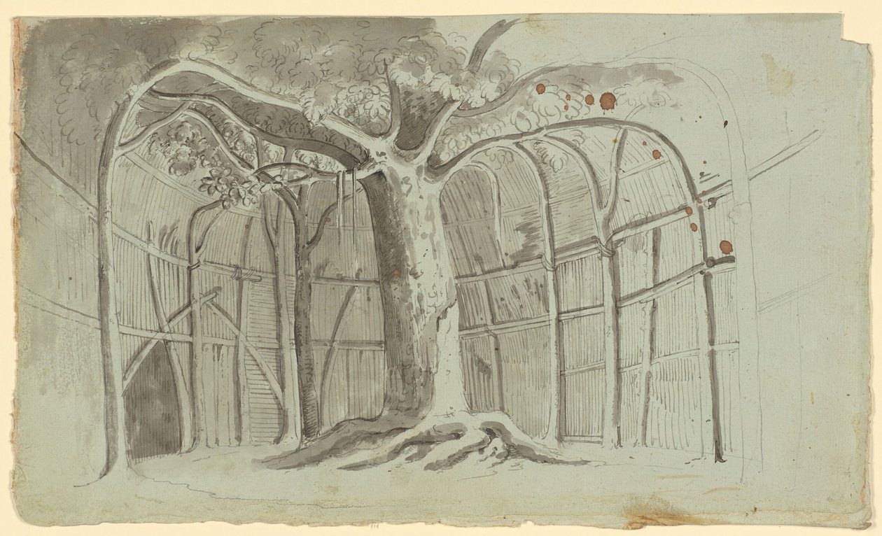 Crude Hut around a Tree av Michael Mayr