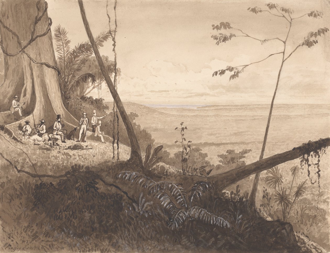 Cedar Point, Mount Tamana av Michel Jean Cazabon