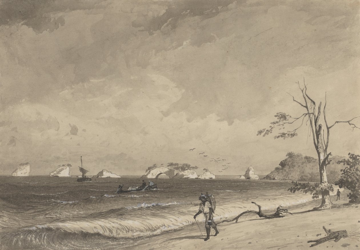 Los Gallos, Icacos Bay av Michel Jean Cazabon