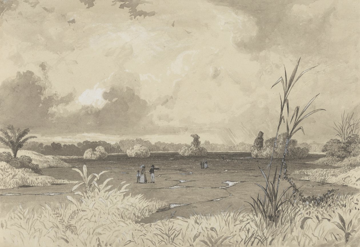 Pitch Lake av Michel Jean Cazabon