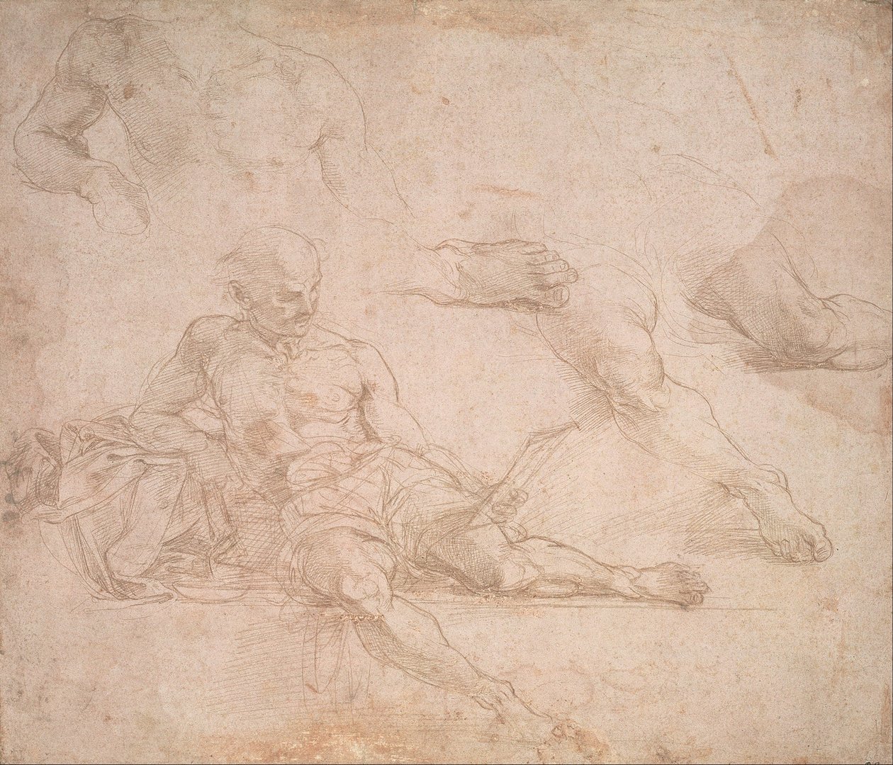 Study for the figure of Diogenes in the School of Athens av Michelangelo Buonarroti