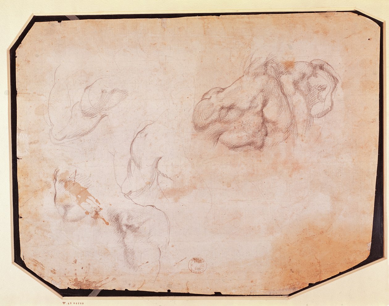 Studie av muskler (verso) (för recto se 191769) av Michelangelo Buonarroti