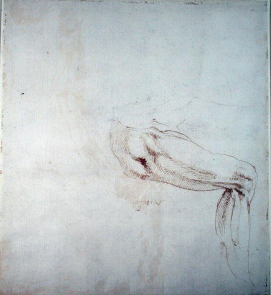Studie av ett ben med anteckningar (brunt bläck på papper) (recto) av Michelangelo Buonarroti