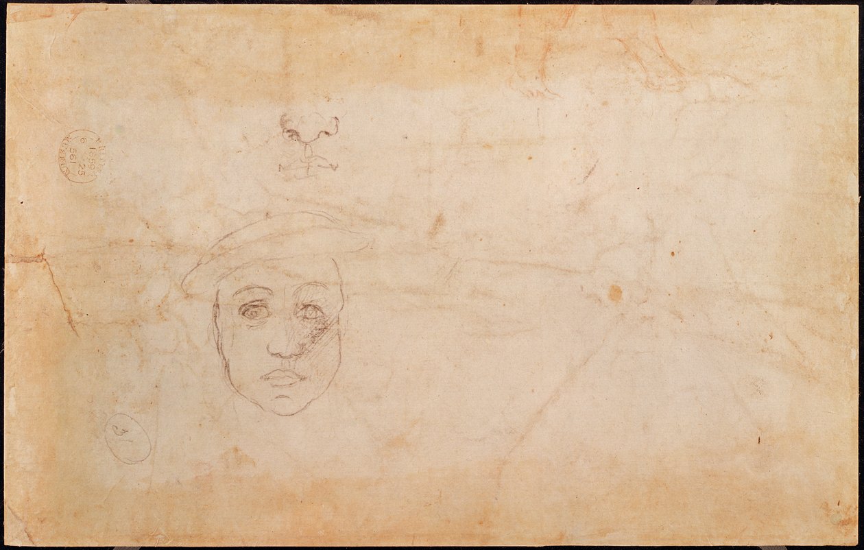 Studie av ett manshuvud (verso) av Michelangelo Buonarroti