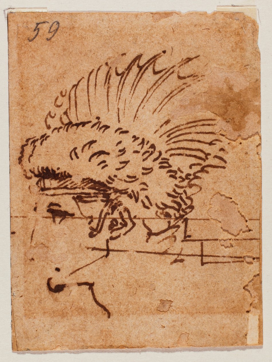 Högt huvud av Michelangelo Buonarroti