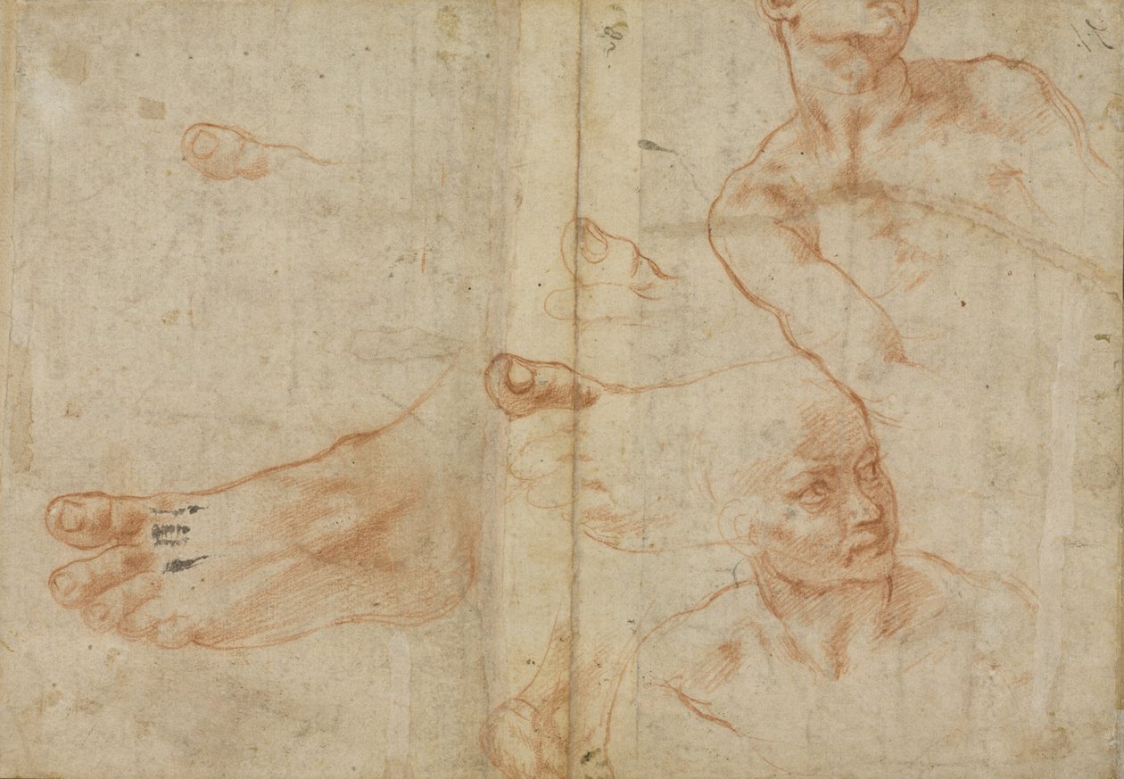 Figurstudier för det sixtinska taket av Michelangelo Buonarroti