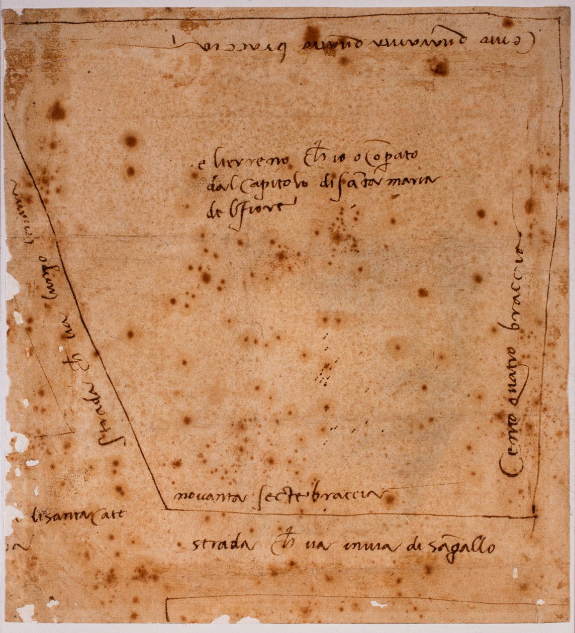 Grundplan av Michelangelo Buonarroti