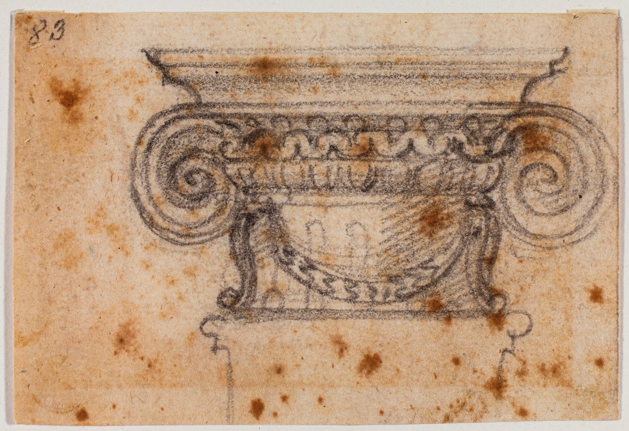 Kapitalstudie för Ionic av Michelangelo Buonarroti