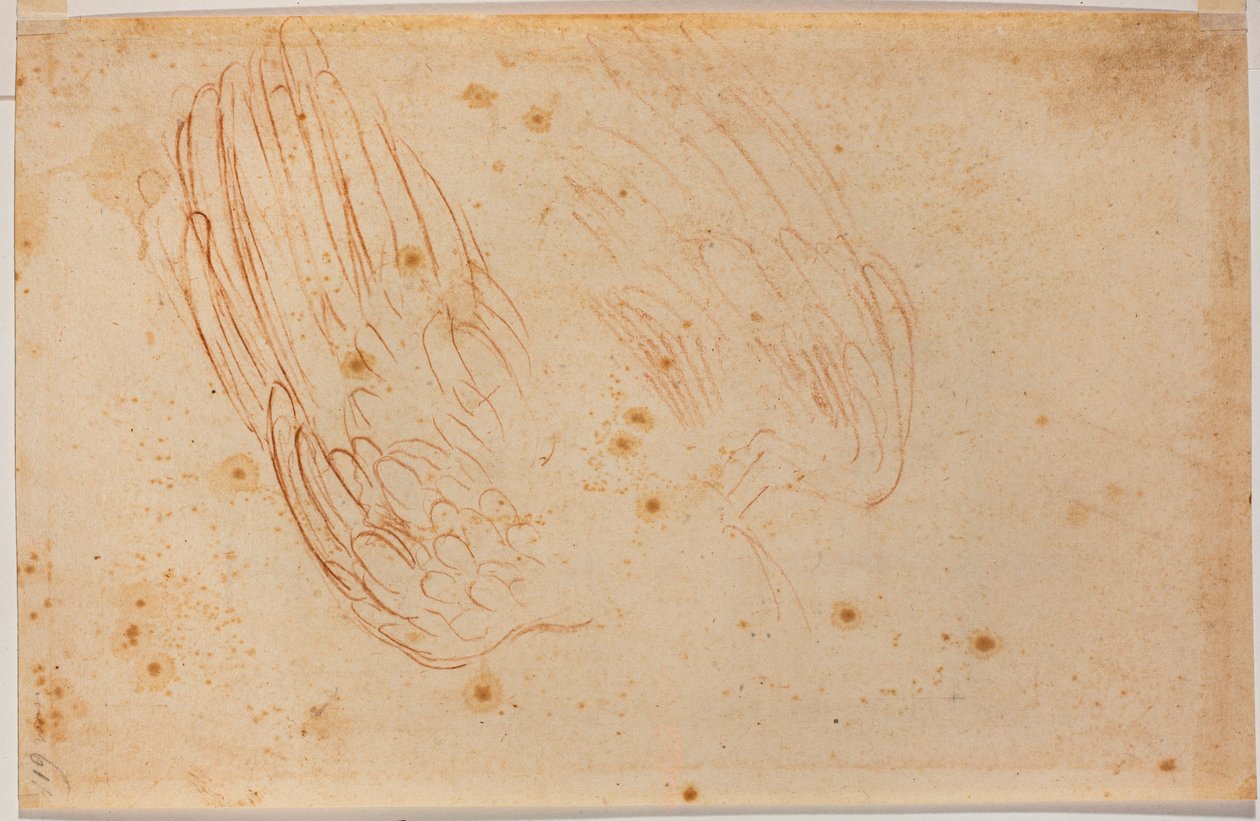 Skiss av en örn av Michelangelo Buonarroti