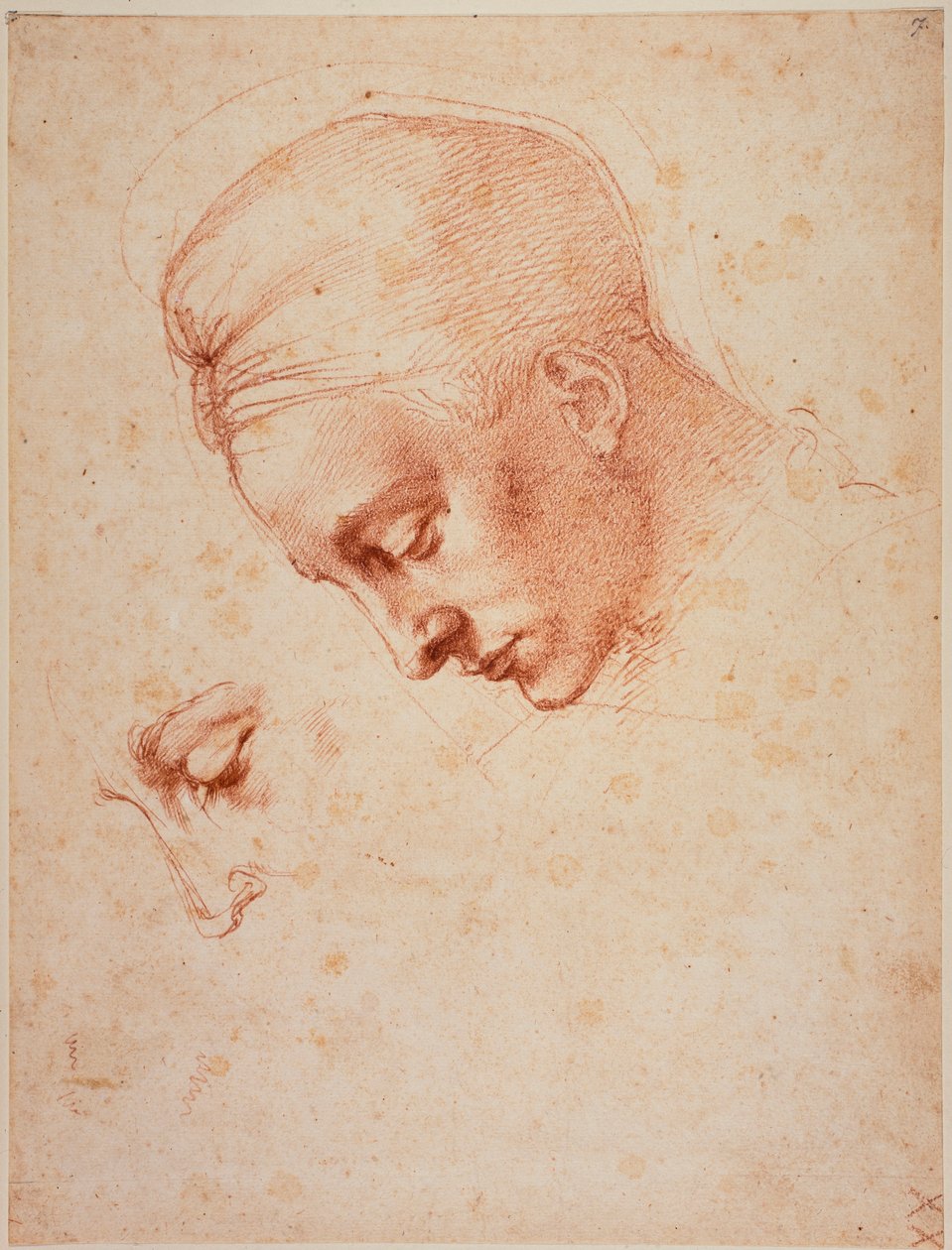 Studier för huvudet på "Leda av Michelangelo Buonarroti