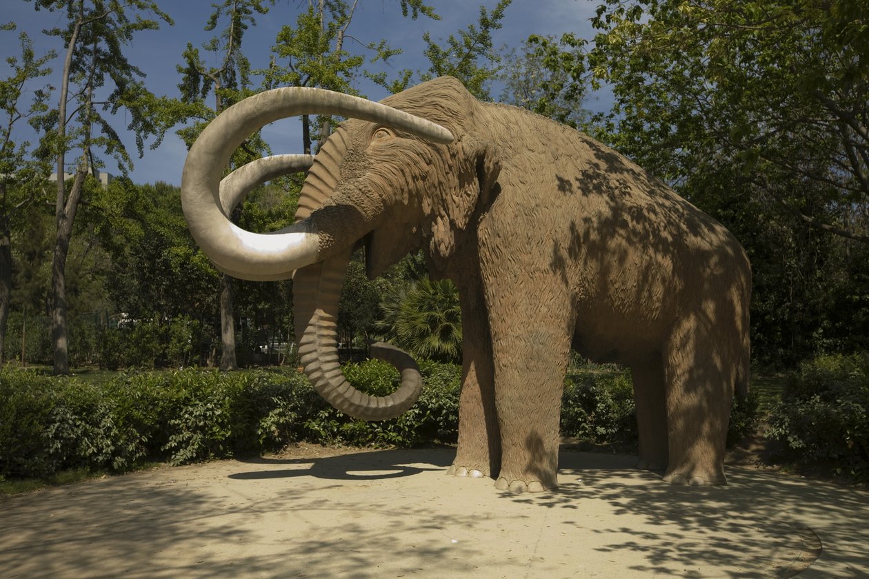 Mammoth, 1907 av Miguel Dalmau