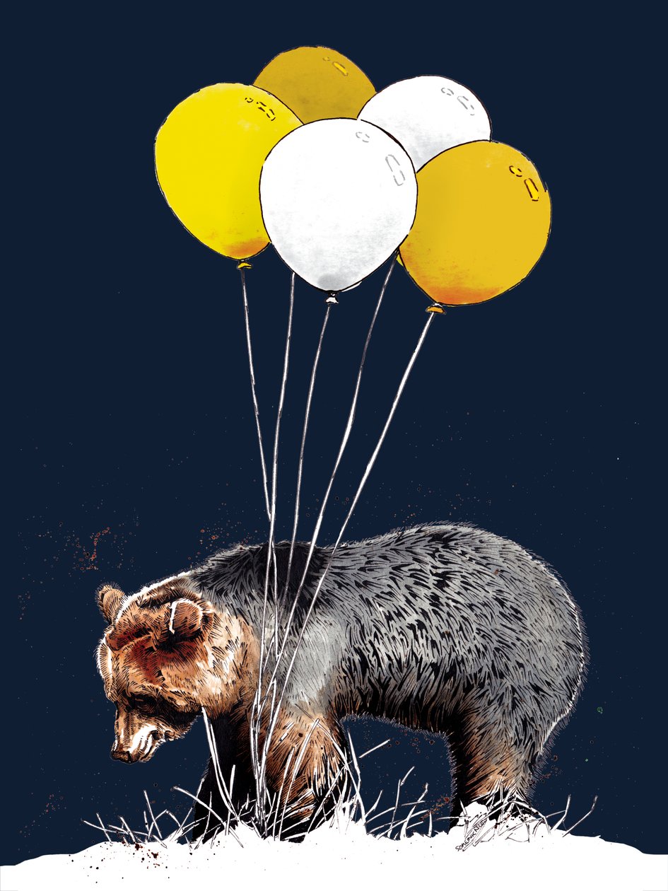 Birthday Bear on Midnight Blue, 2020 av Mike Davis