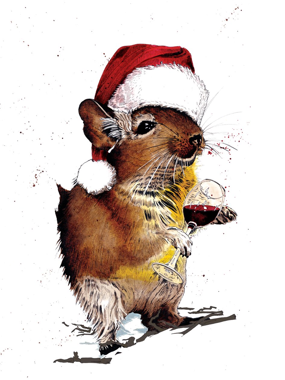 Christmas Degu on White, 2020 av Mike Davis