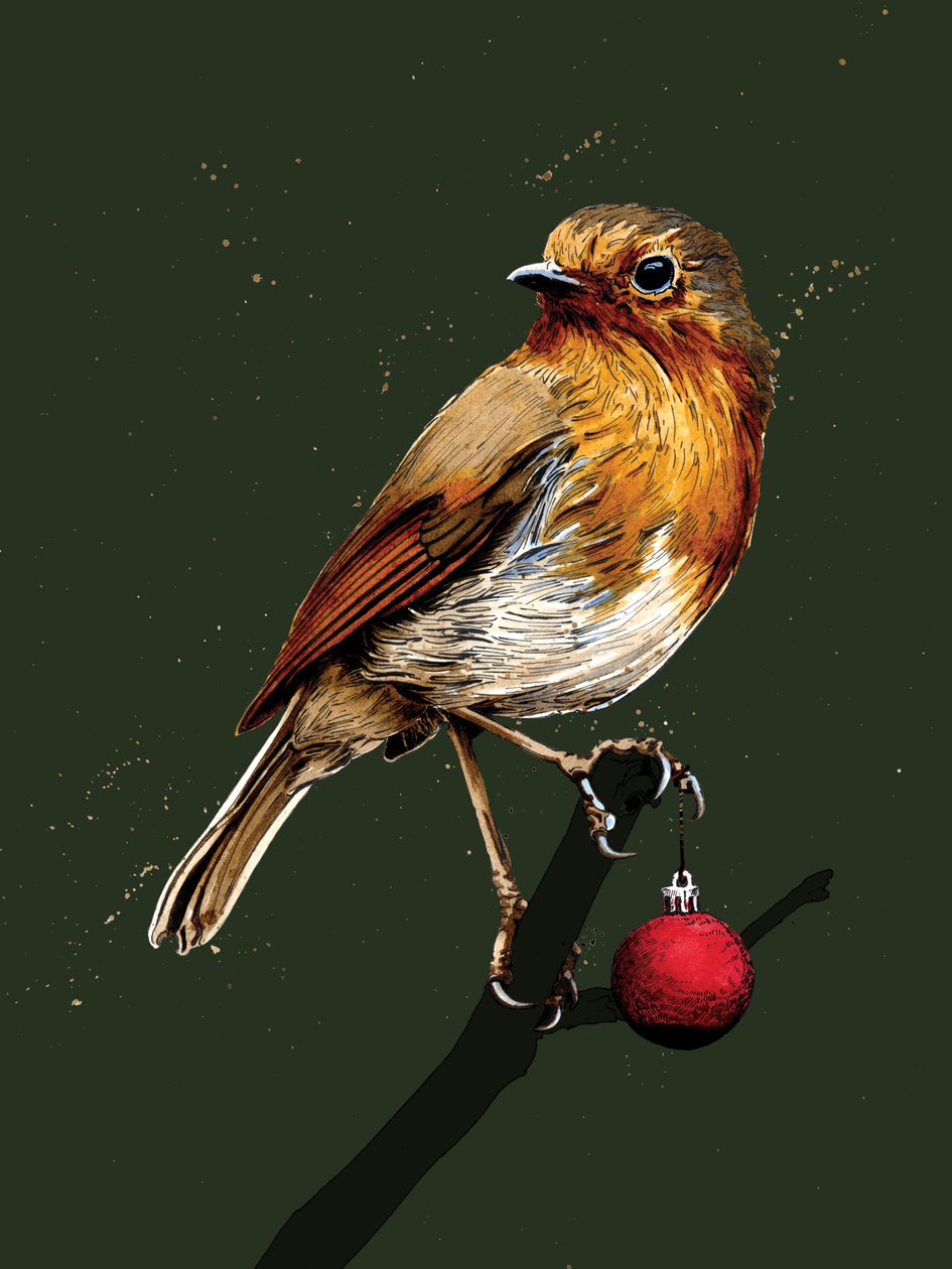 Christmas Robin on Forest Green, 2020 av Mike Davis