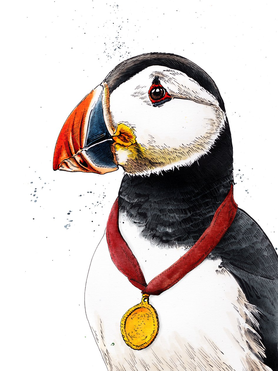 Grattis Puffin on White, 2020 av Mike Davis