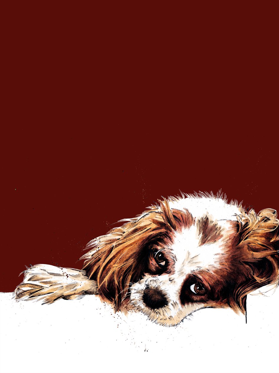 Meg The Spaniel on Red Oxide, 2020 av Mike Davis