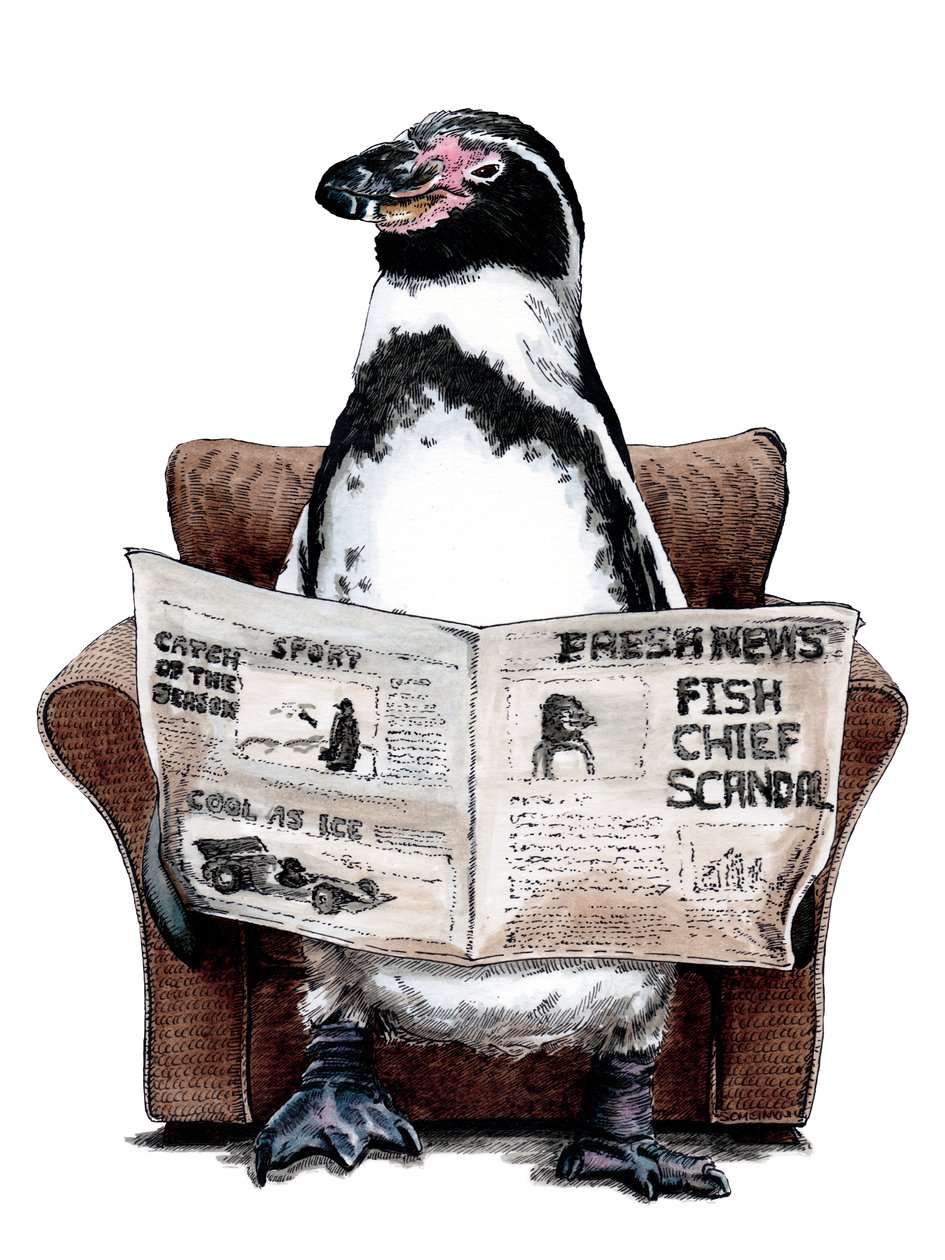 Pensionering Penguin on White, 2020 av Mike Davis