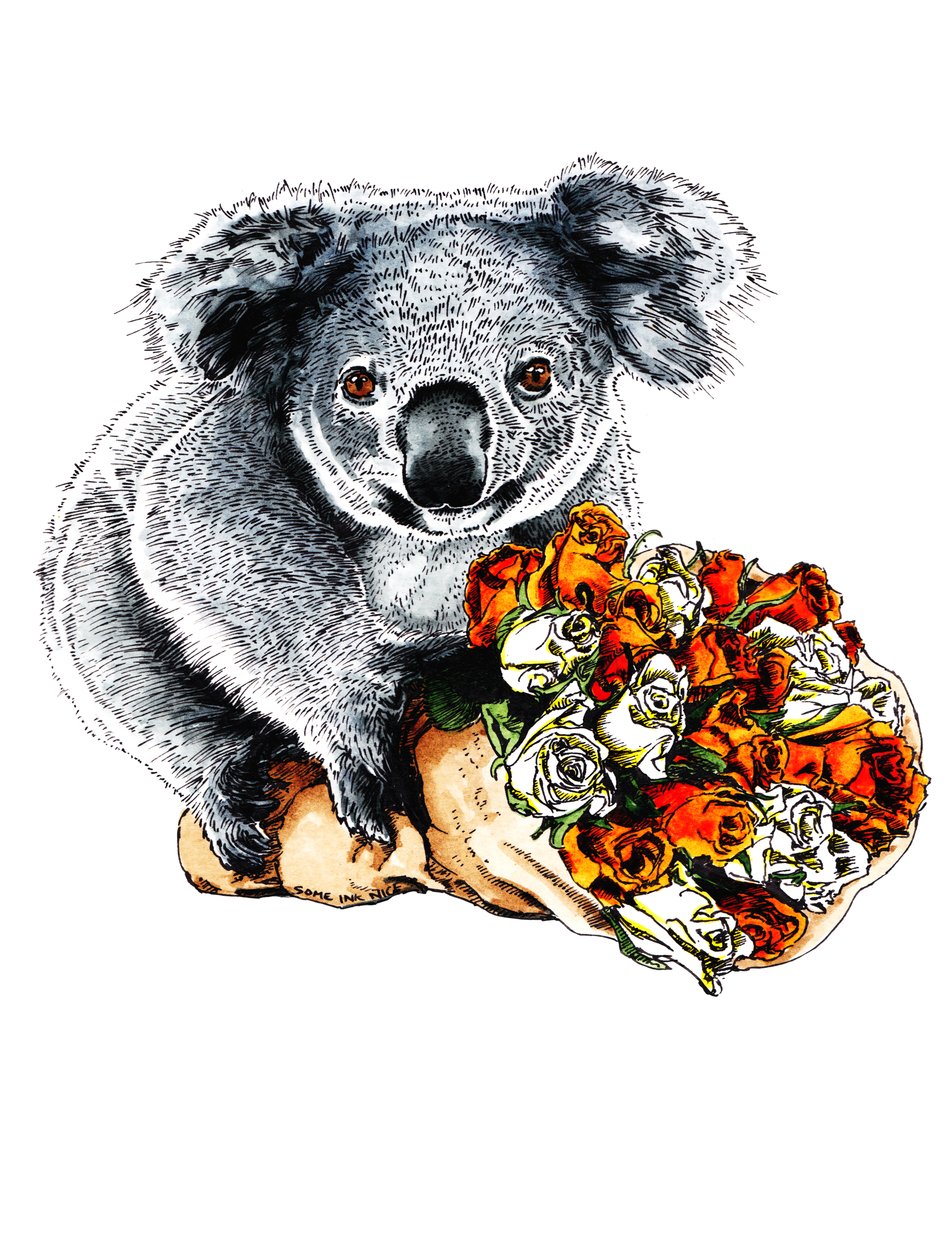 Tack Koala on White, 2020 av Mike Davis