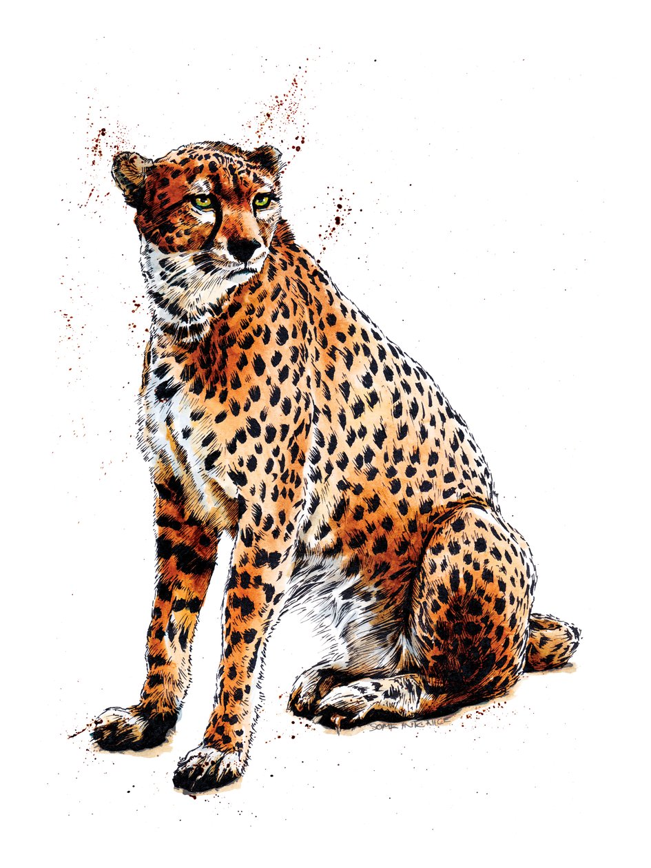 Cheetah on White, 2020 av Mike Davis