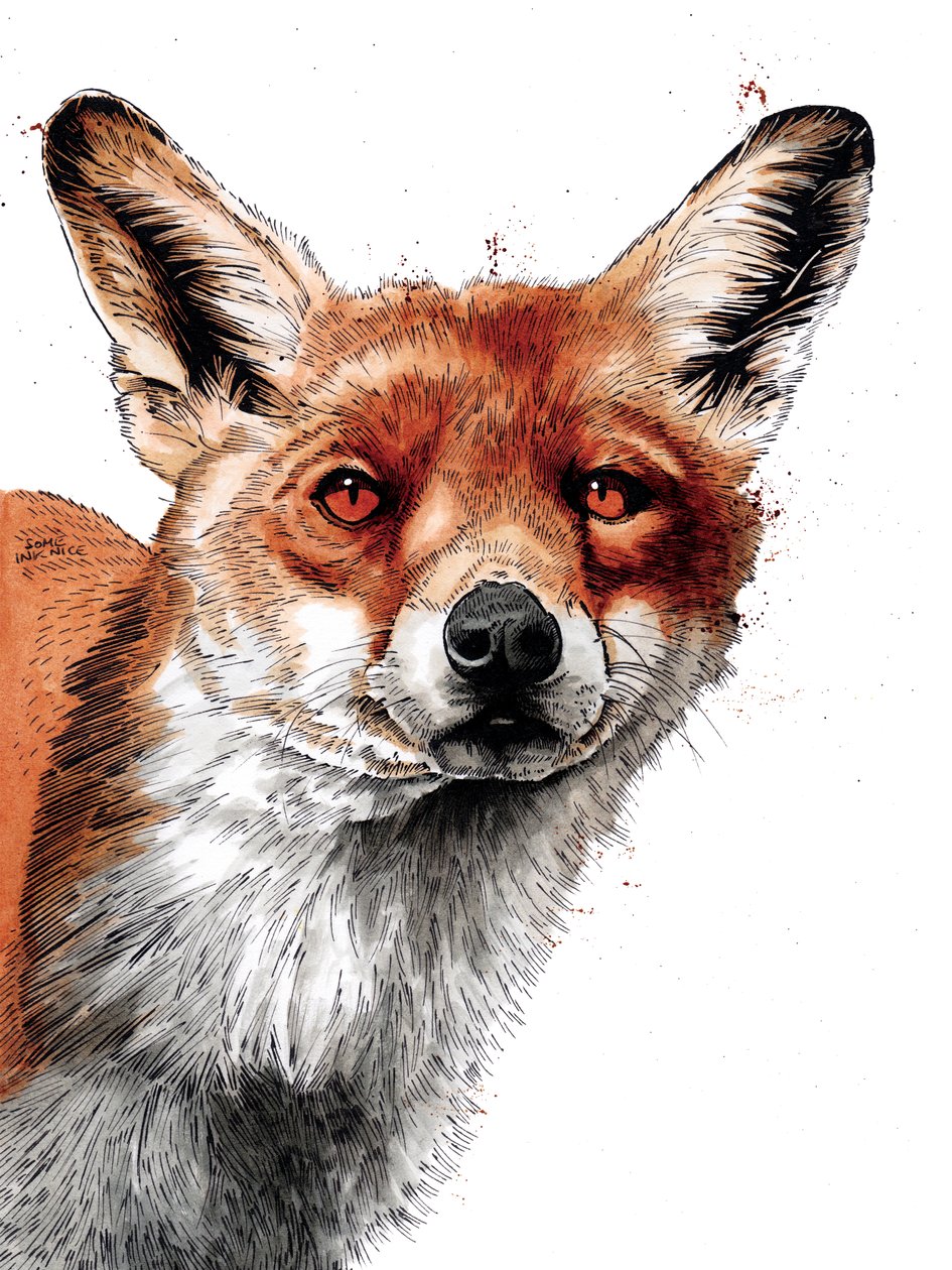 The Fox on White, 2019 av Mike Davis