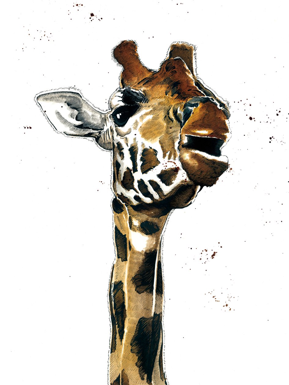 Giraffen på vitt, 2019 av Mike Davis