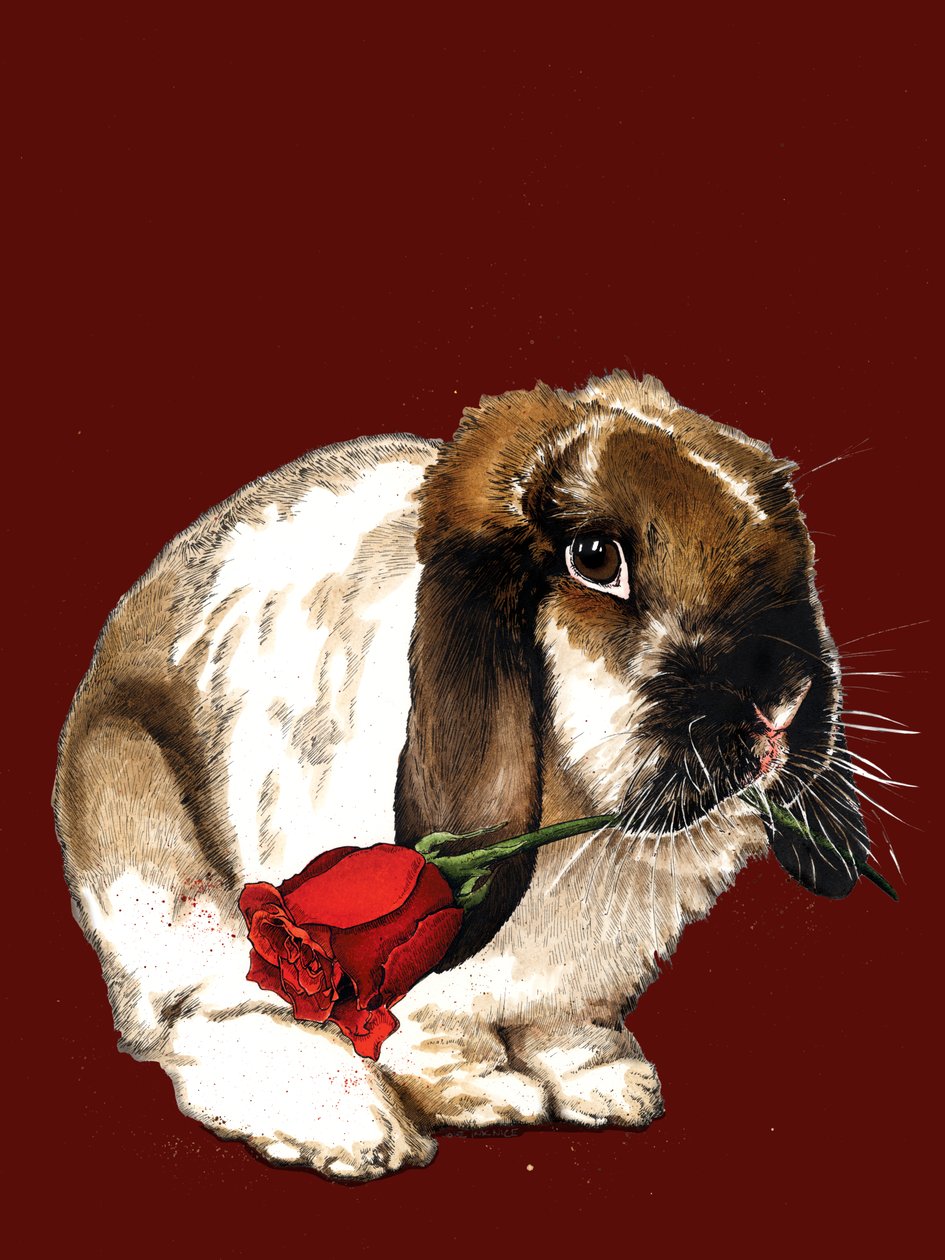 The Love Bunny på Red Oxide, 2020 av Mike Davis