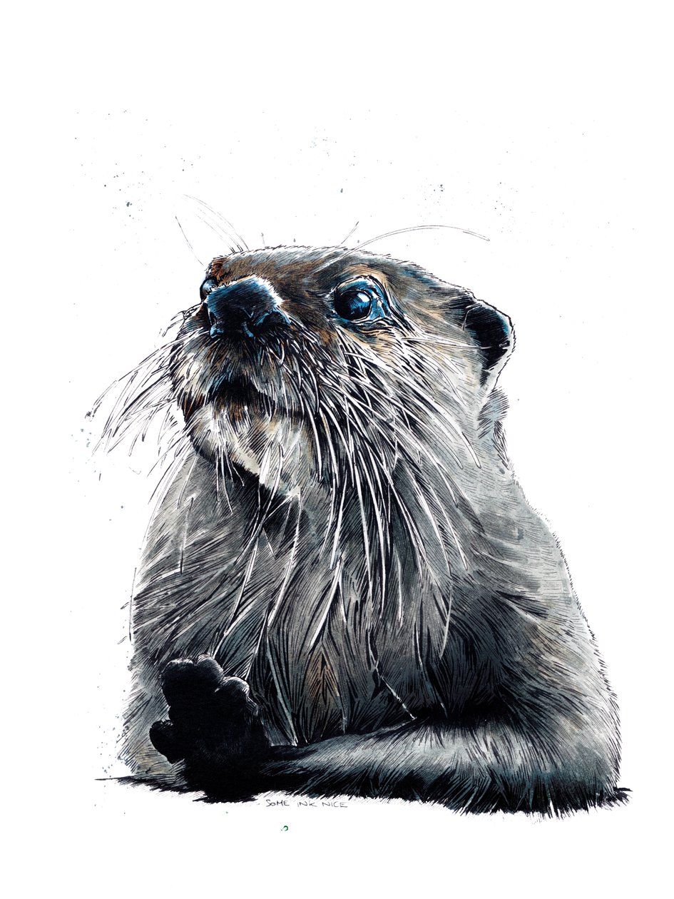 Otter on White, 2020 av Mike Davis