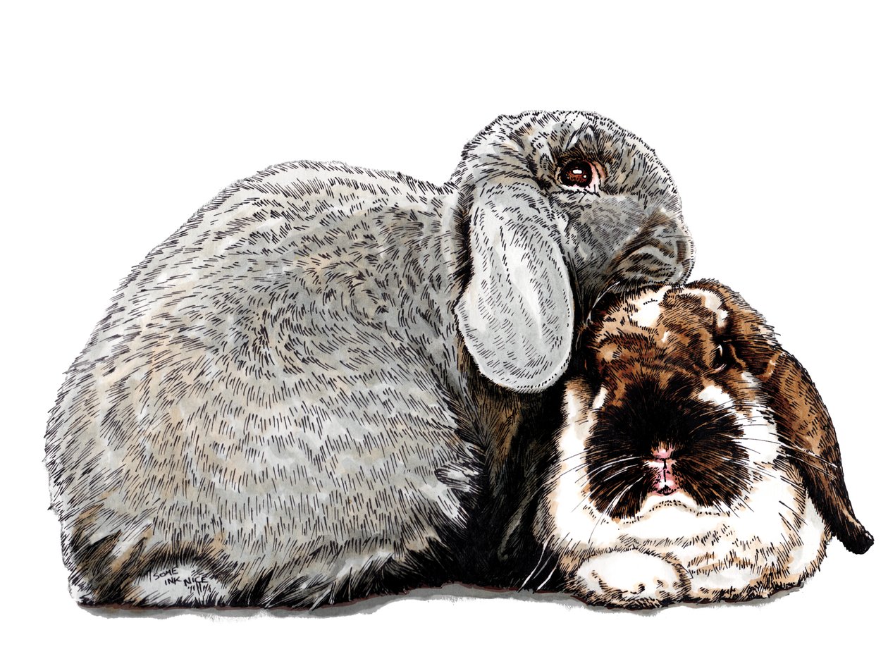 Funderar på Bunnies on White, 2020 av Mike Davis